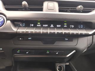 LEXUS UX 250h usata, con Vetri oscurati