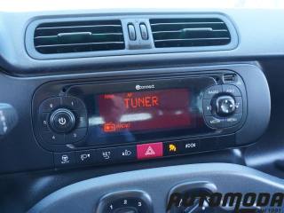 FIAT Panda usata 17