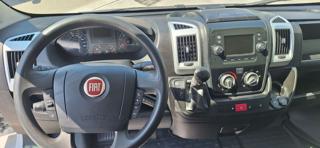FIAT Ducato usata 13
