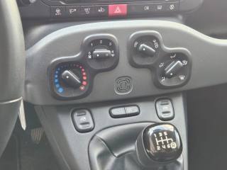 FIAT Panda usata, con Controllo trazione