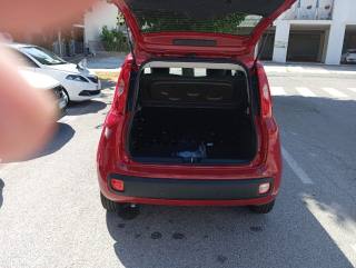 FIAT Panda usata, con Immobilizzatore elettronico