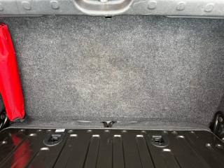 FIAT Panda Cross usata, con ESP