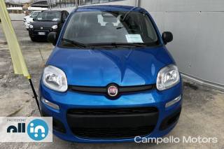 FIAT Panda usata 1