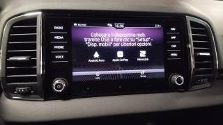 SKODA Karoq usata, con Frenata d