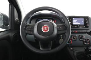 FIAT Panda usata 11