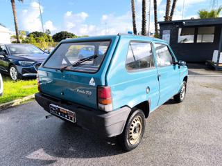 FIAT Panda usata 1