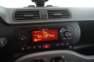 FIAT Panda usata 15