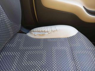 FIAT Panda usata 24
