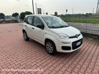 FIAT Panda usata, con Airbag Passeggero