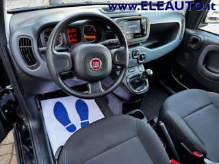 FIAT Panda usata, con Climatizzatore