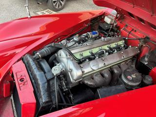 JAGUAR XK usata 18