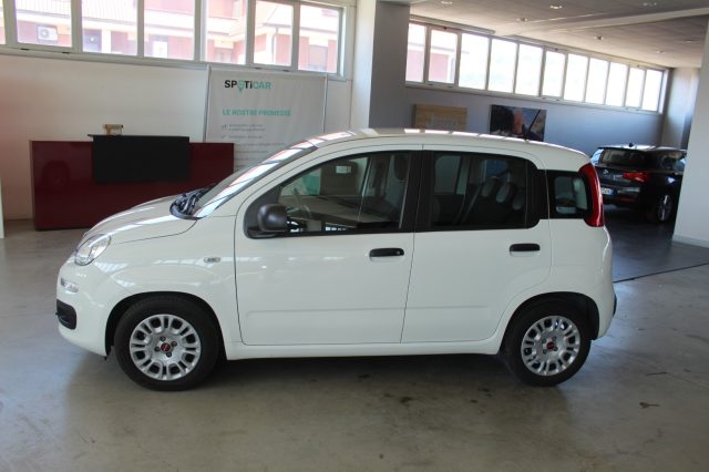 FIAT Panda usata, con Airbag laterali