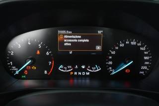 FORD Focus usata 12