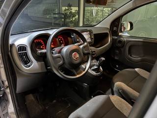 FIAT Panda usata, con Immobilizzatore elettronico