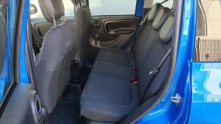 FIAT New Panda usata, con ESP