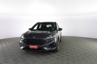 FORD Kuga Kuga 1.5 EcoBlue 120 CV 2WD ST-Line
