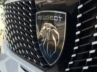 PEUGEOT 3008 usata, con Autoradio