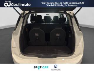 CITROEN C4 Spacetourer usata, con Volante in pelle