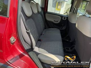 FIAT Panda usata, con Cronologia tagliandi