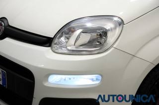 FIAT Panda usata 40