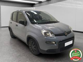 FIAT Panda usata, con Airbag Passeggero