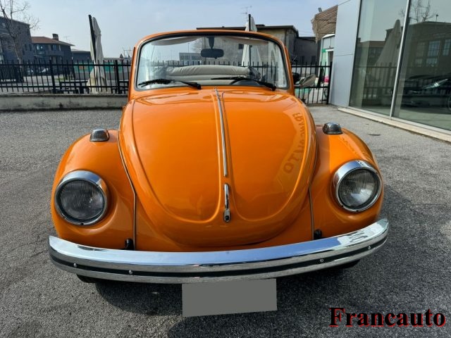 VOLKSWAGEN Maggiolone usata 3