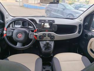 FIAT Panda usata 9
