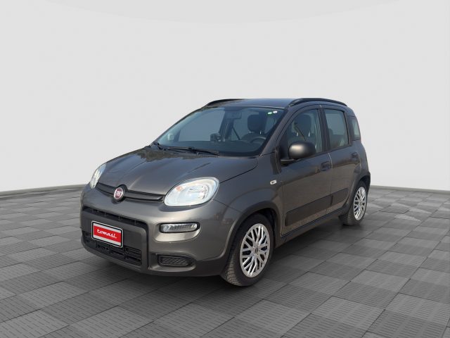 FIAT Panda usata 0