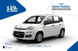 FIAT New Panda Pandina 1.0 FireFly 65 CV Hybrid Icon