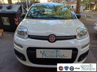 FIAT Panda usata, con Airbag Passeggero