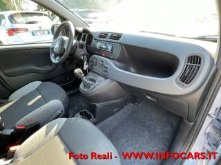 FIAT Panda usata 19
