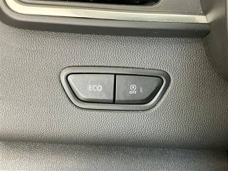 RENAULT Kadjar usata 21