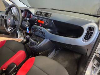 FIAT Panda usata 13