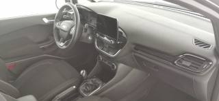 FORD Fiesta usata 41