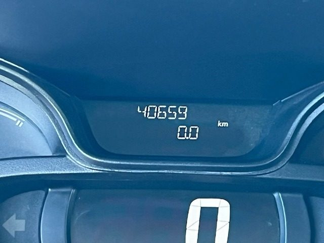 RENAULT Trafic usata, con Autoradio digitale