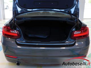 BMW 220 usata, con Vivavoce