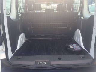 FORD Tourneo Connect usata, con Volante multifunzione