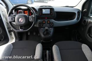FIAT Panda usata 13