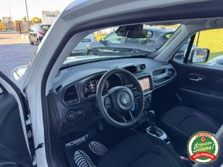 JEEP Renegade usata, con Cronologia tagliandi