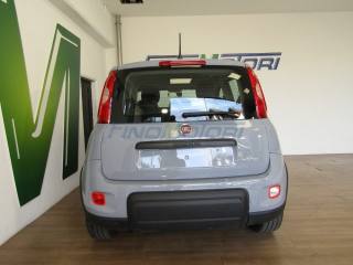 FIAT Panda usata, con Immobilizzatore elettronico