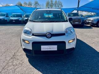 FIAT Panda usata 21