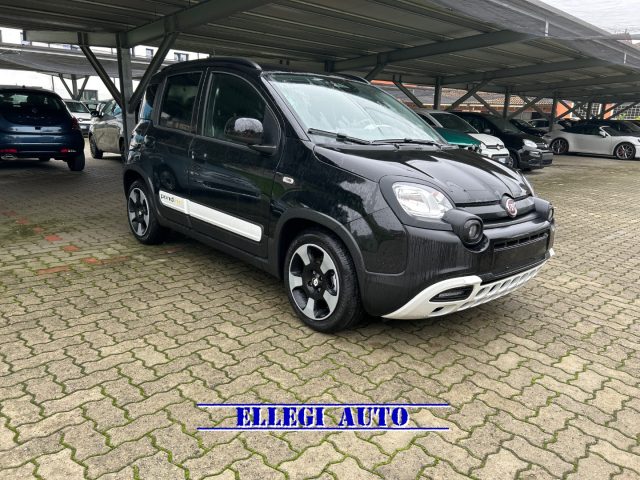 FIAT Pandina usata, con Antifurto
