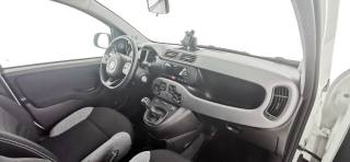 FIAT Panda usata 47