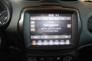 JEEP Renegade usata, con Fendinebbia
