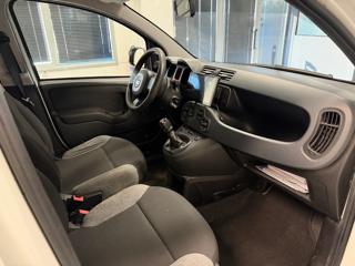 FIAT Panda usata, con Controllo trazione