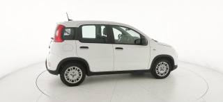 FIAT Panda usata, con Airbag testa