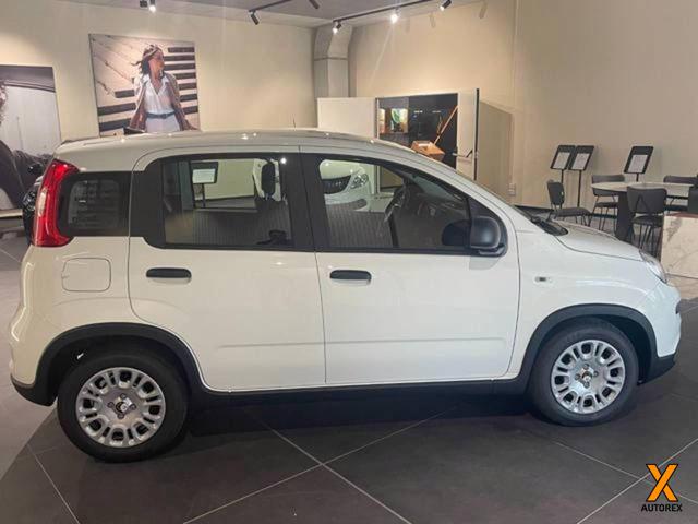 FIAT Panda usata, con Antifurto