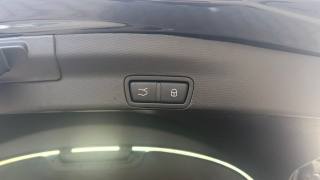 ALFA ROMEO Stelvio usata, con Bracciolo