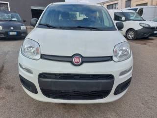 FIAT Panda usata 2