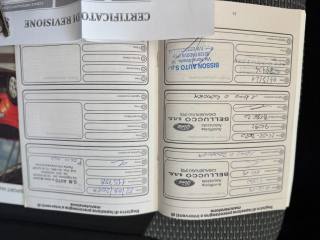 FORD EcoSport usata, con Airbag testa